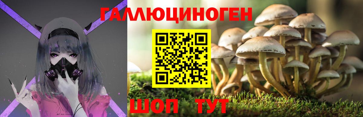 Псилоцибиновые грибы Psilocybine cubensis Морозовск